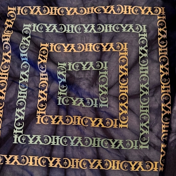 Twenty one pilots tour concert long sleeve - Picture 3 of 5